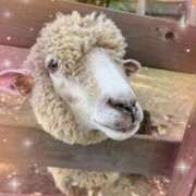 れいな すみません🙏💦 熟女の風俗最終章 高崎店