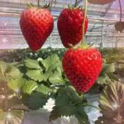 ヒメ日記 2026/03/11 10:48 投稿 れいな 熟女の風俗最終章 高崎店