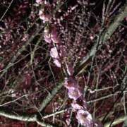 ヒメ日記 2026/03/23 01:18 投稿 れいな 熟女の風俗最終章 高崎店