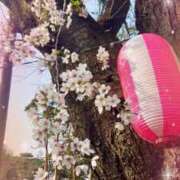 ヒメ日記 2026/03/30 09:02 投稿 れいな 熟女の風俗最終章 高崎店