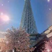 ヒメ日記 2026/04/05 11:35 投稿 れいな 熟女の風俗最終章 高崎店