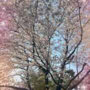 ヒメ日記 2026/04/12 17:18 投稿 れいな 熟女の風俗最終章 高崎店