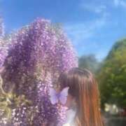 ヒメ日記 2026/04/21 17:12 投稿 れいな 熟女の風俗最終章 高崎店