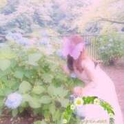 ヒメ日記 2026/07/01 09:19 投稿 れいな 熟女の風俗最終章 高崎店