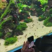 ヒメ日記 2025/08/21 21:46 投稿 かりな Versailles