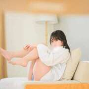 かりな 🐘ミニマムサイズのゾウ🐘 Versailles