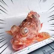 ヒメ日記 2025/06/05 18:47 投稿 衣奈-えな 熟女10000円デリヘル横浜