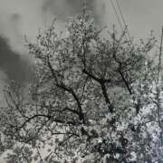 ヒメ日記 2025/04/02 20:53 投稿 みどり ぽっちゃり巨乳素人専門横浜関内伊勢佐木町ちゃんこ