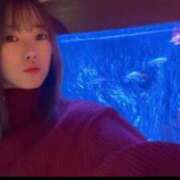 ヒメ日記 2025/04/13 02:53 投稿 RARA（らら） UTAKATA