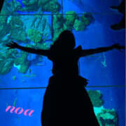 ヒメ日記 2025/03/29 00:40 投稿 のあ 新大阪秘密倶楽部