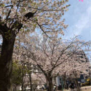 ヒメ日記 2025/04/09 12:25 投稿 のあ 新大阪秘密倶楽部