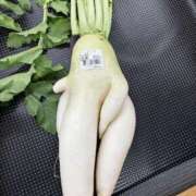 ヒメ日記 2025/11/22 21:45 投稿 のあ 新大阪秘密倶楽部