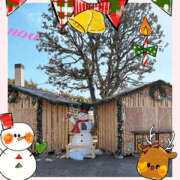 ヒメ日記 2025/12/01 19:35 投稿 のあ 新大阪秘密倶楽部