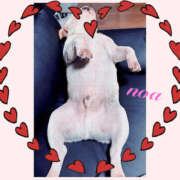 ヒメ日記 2025/12/03 01:10 投稿 のあ 新大阪秘密倶楽部