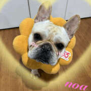 のあ 違うよ〜 新大阪秘密倶楽部