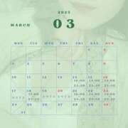 ヒメ日記 2025/03/14 20:43 投稿 みどり 新横浜ちゃんこ