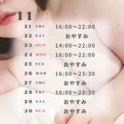 ヒメ日記 2025/11/21 17:33 投稿 みどり 新横浜ちゃんこ