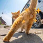 ヒメ日記 2025/04/01 10:21 投稿 そよか 奥様特急長岡店