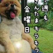 ヒメ日記 2025/04/18 09:21 投稿 そよか 奥様特急長岡店