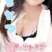 相葉 ちなつ 今週は😌 神戸RED DRAGON