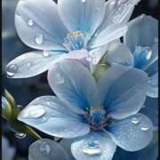 ヒメ日記 2025/03/05 10:44 投稿 KARINA【かりな】 ViVi-ヴィヴィ-(金津園)