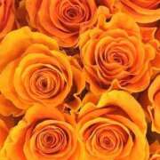 ヒメ日記 2025/04/03 08:57 投稿 KARINA【かりな】 ViVi-ヴィヴィ-(金津園)