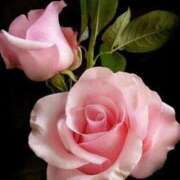 KARINA【かりな】 ごめんなさい… ViVi-ヴィヴィ-(金津園)