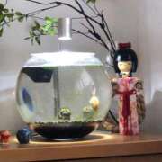 ヒメ日記 2026/02/04 22:57 投稿 なこ★性欲万点お姉さん かりゆしOLの秘密【20代沖縄美女多数在籍-デリヘル×ヌードエステ】