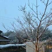 ヒメ日記 2025/03/04 22:50 投稿 アマネ Ageha(アゲハ)