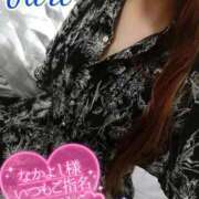 ヒメ日記 2025/09/06 16:50 投稿 ジュリ(極) 人妻生レンタル