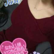 ヒメ日記 2026/02/07 14:50 投稿 ジュリ(極) 人妻生レンタル