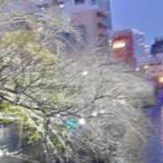 ヒメ日記 2025/03/25 01:02 投稿 せりな sakura