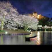 ヒメ日記 2025/03/29 17:02 投稿 せりな sakura