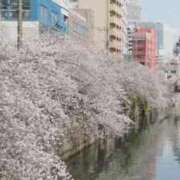 ヒメ日記 2025/04/09 13:12 投稿 せりな sakura