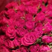 ヒメ日記 2025/04/10 21:12 投稿 せりな sakura