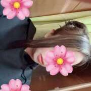 ヒメ日記 2025/04/23 13:02 投稿 せりな sakura