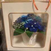 ヒメ日記 2025/05/11 15:52 投稿 せりな sakura