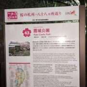 ヒメ日記 2025/04/13 20:36 投稿 ルイ(極) 人妻生レンタル