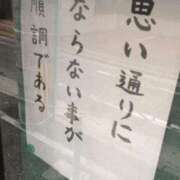 ヒメ日記 2025/05/26 10:49 投稿 ルイ(極) 人妻生レンタル