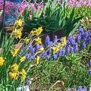 ヒメ日記 2025/06/02 10:10 投稿 ルイ(極) 人妻生レンタル