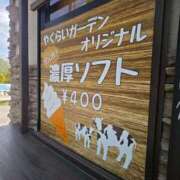 ヒメ日記 2025/06/02 12:04 投稿 ルイ(極) 人妻生レンタル