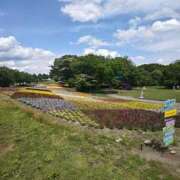 ヒメ日記 2025/06/09 10:10 投稿 ルイ(極) 人妻生レンタル