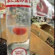 ヒメ日記 2025/06/09 10:40 投稿 ルイ(極) 人妻生レンタル