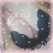 ヒメ日記 2025/07/19 15:10 投稿 ウミ 人妻生レンタル