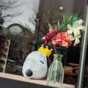 ヒメ日記 2026/02/13 20:50 投稿 ウミ 人妻生レンタル