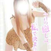 ヒメ日記 2026/03/09 15:05 投稿 ウミ 人妻生レンタル