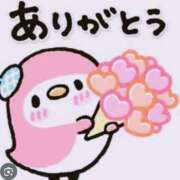 ヒメ日記 2025/05/14 07:20 投稿 アキエ 人妻生レンタル