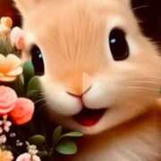 ヒメ日記 2025/12/16 21:53 投稿 アキエ 人妻生レンタル