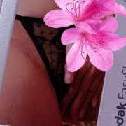 ヒメ日記 2026/04/07 14:56 投稿 アキエ 人妻生レンタル