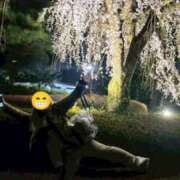 ヒメ日記 2025/04/11 03:34 投稿 キミ 人妻生レンタル